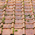 Enhance Curb Appeal with Roof Cleaning in Vancouver