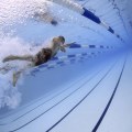 San Jose, CA Pool Remodel Trends Inspired by Real Estate Agent Insights on Property Value and Outdoor Living