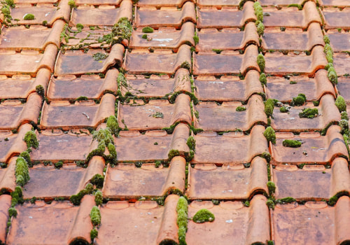 Enhance Curb Appeal with Roof Cleaning in Vancouver